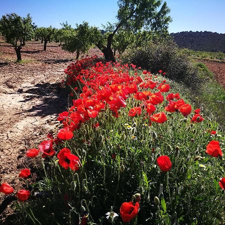 Cortijo Los Soledad El Sauco Zewnętrze zdjęcie