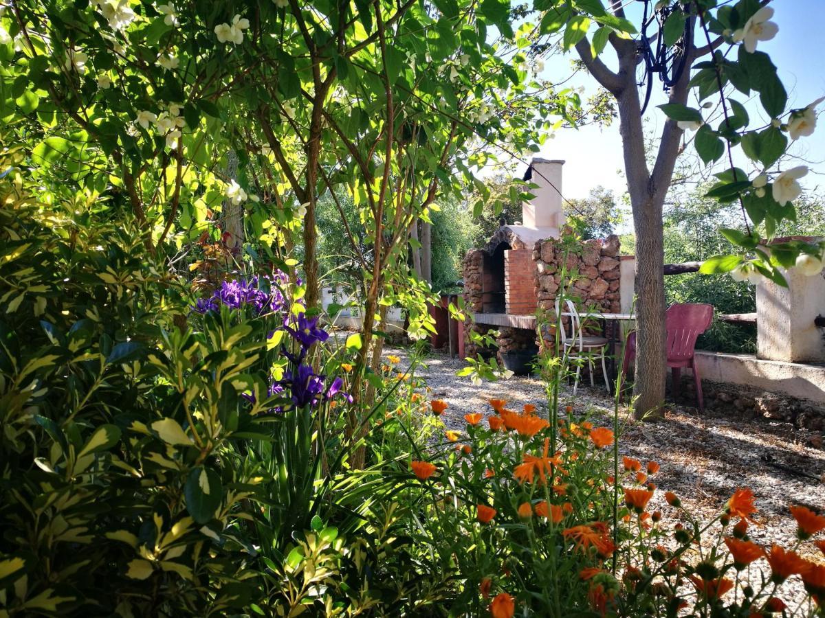 Cortijo Los Soledad El Sauco Zewnętrze zdjęcie