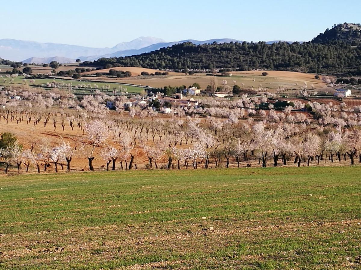 Cortijo Los Soledad El Sauco Zewnętrze zdjęcie