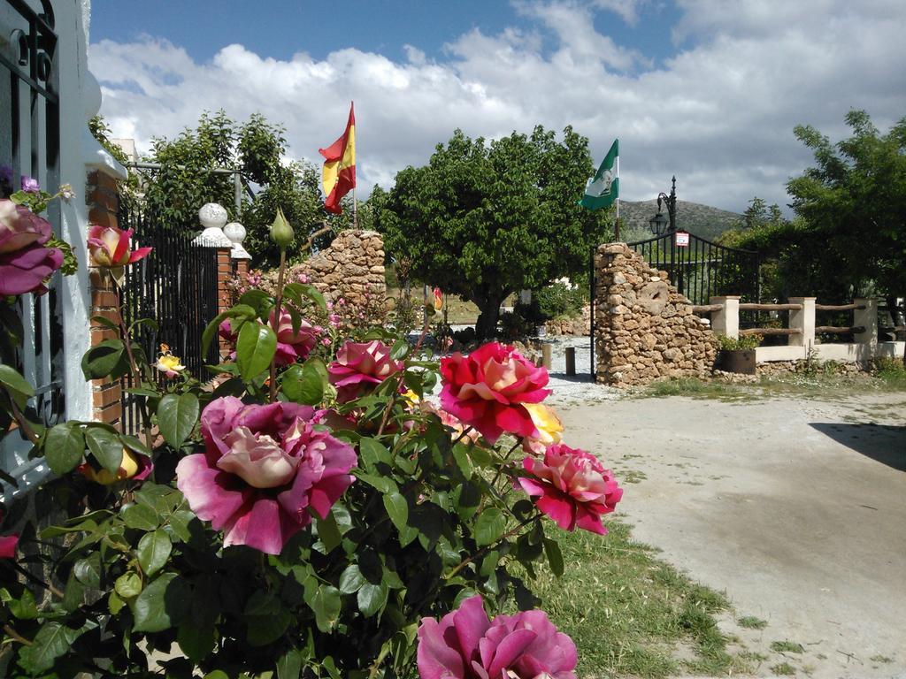 Cortijo Los Soledad El Sauco Zewnętrze zdjęcie