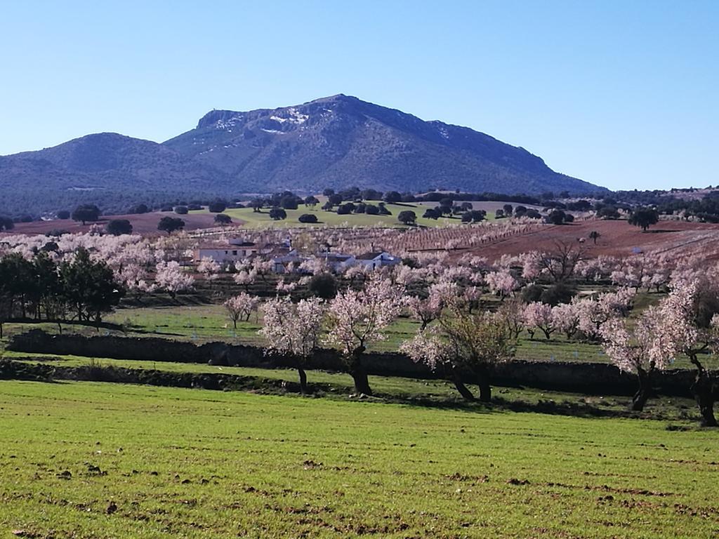 Cortijo Los Soledad El Sauco Zewnętrze zdjęcie