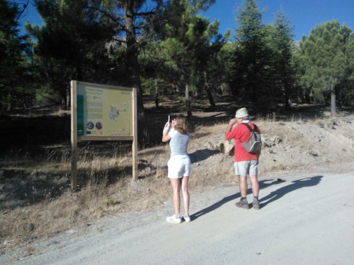 Cortijo Los Soledad El Sauco Zewnętrze zdjęcie