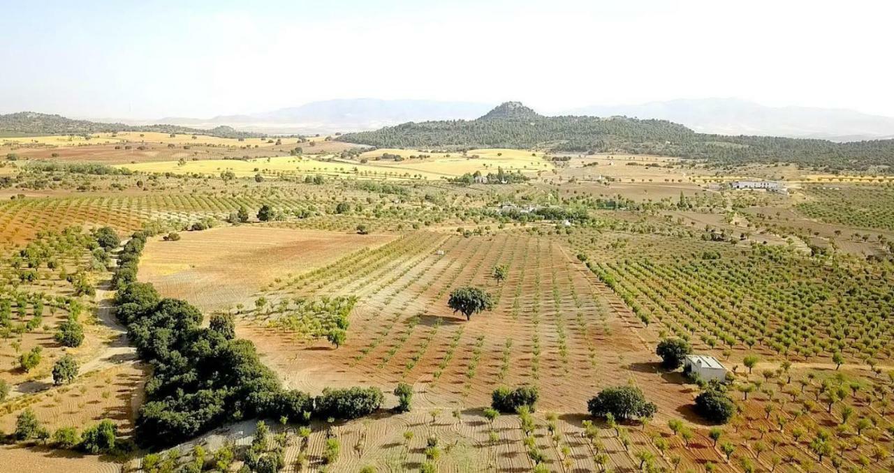 Cortijo Los Soledad El Sauco Zewnętrze zdjęcie