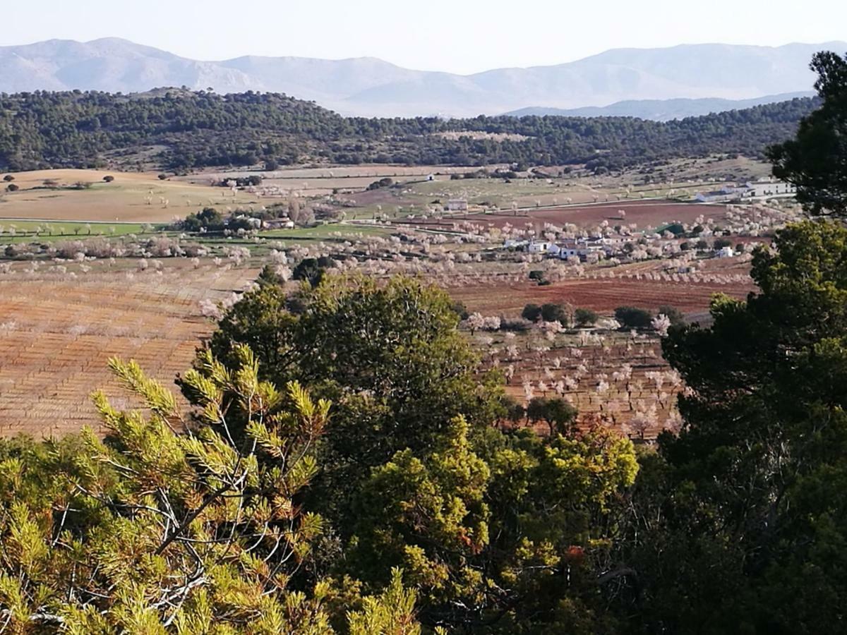 Cortijo Los Soledad El Sauco Zewnętrze zdjęcie